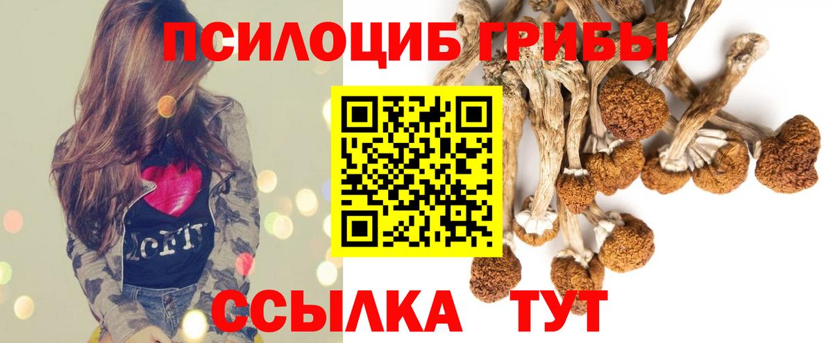 Галлюциногенные грибы мухоморы  Вход с VPN  Галлюциногенные грибы мицелий  Альметьевск 
