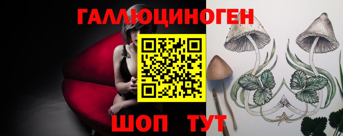 Псилоцибиновые грибы Cubensis Альметьевск
